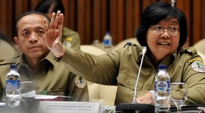 Menteri Siti Reklamasi Teluk Jakarta Lebih Baik Ditunda Dulu